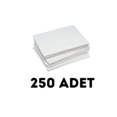 Tanklı Yazıcılar İçin Transfer Kağıdı 250 Adet